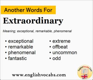 What is another word for extraordinary .